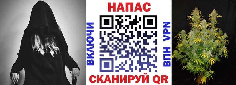Конопля конопля  Шатура 